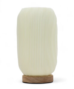 AWGIFTS New Wave Lampe – USB-C – 3 Innstillinger – Modern Twisted